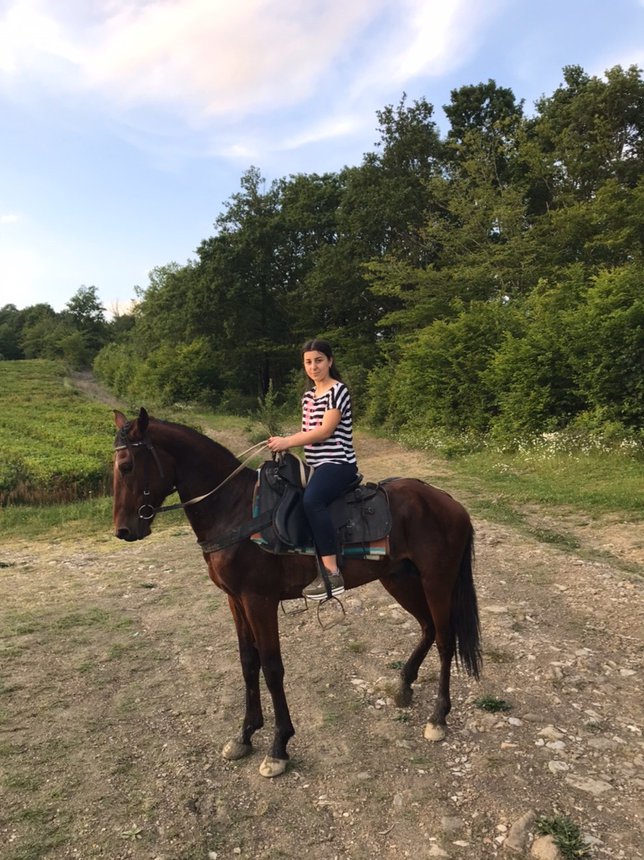 Пусть конная прогулка в Сочи станет лучшим подарком