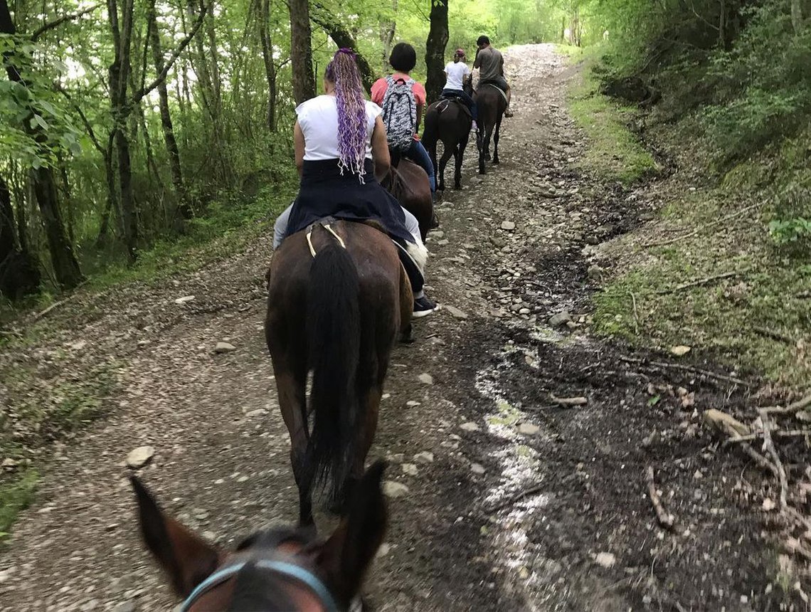 Семейная прогулка на лошадях — новый диалог в Сочи